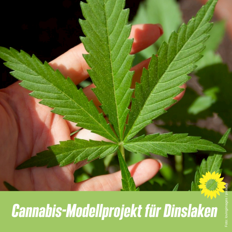 GRÜNE für ein Cannabis-Modellprojekt
